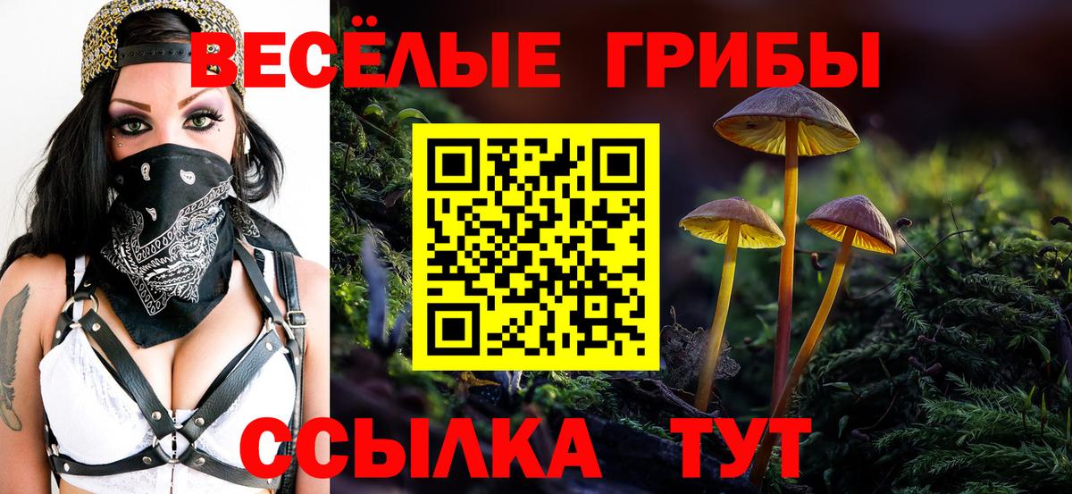Бугуруслан  Псилоцибиновые грибы мицелий  Псилоцибиновые грибы Cubensis  Вход с VPN 