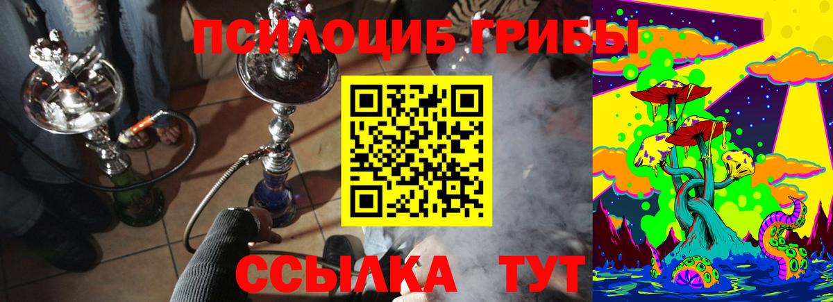 Галлюциногенные грибы Psilocybine cubensis Бугуруслан