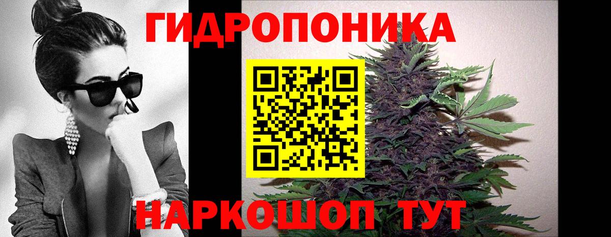 Бошки Шишки AK-47  Вход с VPN  Бугуруслан  Бошки марихуана Bruce Banner  МАРИХУАНА SATIVA & INDICA 